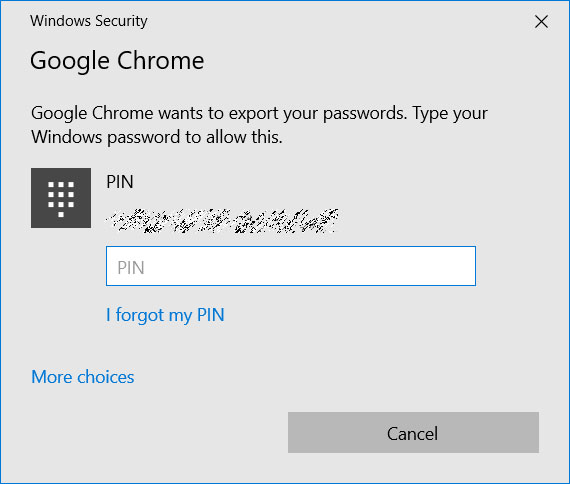 Enter Windows PIN or password