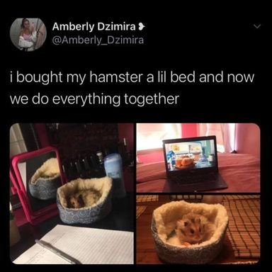  title=