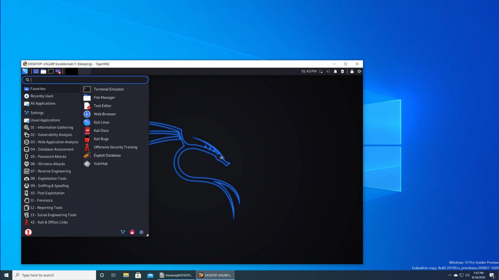 Kali Linux Desktop in Windows 10